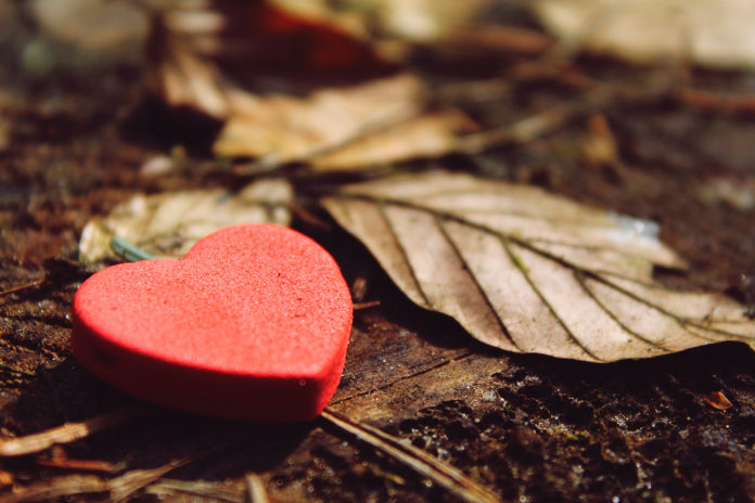 cardiologia