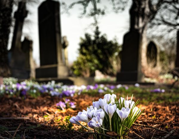 o-assunto-e-o-cuidado-paliativo-antes-da-morte-615016-article